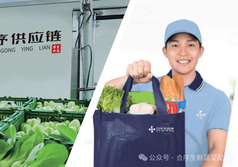 案例展示